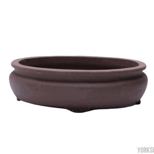 May include: A brown, oval bonsai pot with a rounded rim and a slightly raised base. The pot is made of ceramic and has a smooth, matte finish. It is designed for growing bonsai trees and other small plants.