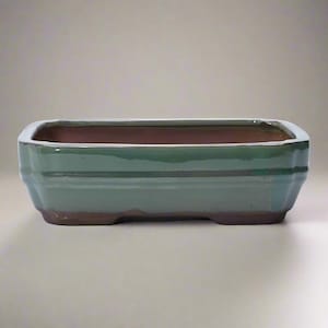 May include: A rectangular bonsai pot with a green exterior and a brown interior. The pot has a slightly textured surface and a white rim. The pot is designed with a low profile and a classic shape.