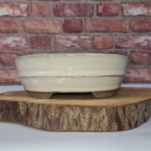 May include: A cream-coloured ceramic bonsai pot with a light brown base and rim. The pot has a wide, shallow design with a textured surface and is set on a wooden slab. The background is a brick wall.