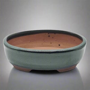 May include: An oval-shaped ceramic bonsai pot. The exterior is a muted teal, with a dark rim accent. The interior has a natural terracotta colour. The base has three small feet. Suitable for bonsai trees. The pot's dimensions are approximately 25 cm in diameter.