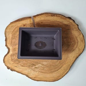 May include: A dark purple rectangular planter with a grid-like drainage hole in the center. The planter is set on a round, natural wood slice with visible grain and a light brown colour.