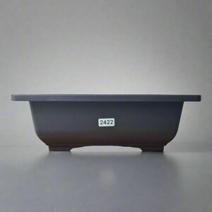 May include: A dark grey rectangular bonsai pot with a slightly flared rim. The pot has rounded corners and sits on small feet. A white sticker with the number "2422" is affixed to the front. Designed for bonsai trees, it measures approximately 30 cm in length.