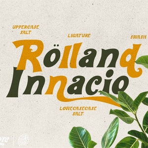 May include: A retro-style font design called "Rölland Innacio" with uppercase and lowercase examples. The font features a ligature, a swash, and a salt effect.