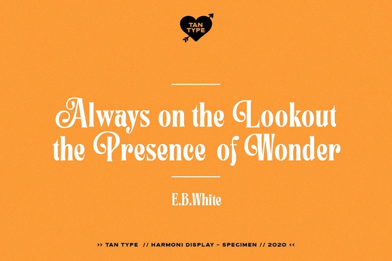 TAN - Harmoni - Handwritten Font, Cricut Fonts, Calligraphy, Modern ...