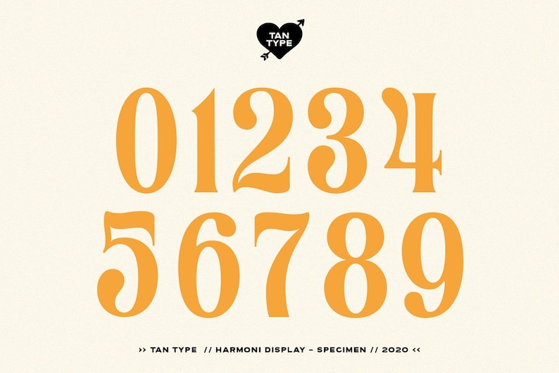 TAN - Harmoni - Handwritten Font, Cricut Fonts, Calligraphy, Modern ...
