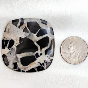 May include: A polished, square-shaped cabochon stone featuring a high-contrast pattern of deep black sections intersected by thick, branching white veins. A standard U.S. quarter coin is placed next to the stone to provide a clear size reference.
