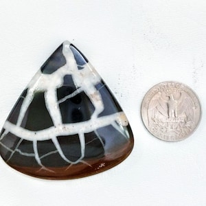 May include: A polished, triangular-shaped stone cabochon featuring a dark brown and black base with a prominent white, web-like vein pattern throughout. A United States quarter coin is placed next to the stone for scale reference.