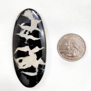 May include: An oval-shaped black and white stone cabochon with a polished surface and irregular branching patterns, positioned next to a United States quarter coin for scale, which measures approximately 0.955 inches in diameter.