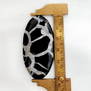 May include: An oval-shaped black stone with white veining patterns, positioned next to a brass caliper tool. The stone measures approximately 2.25 inches in length as indicated by the markings on the measuring tool.