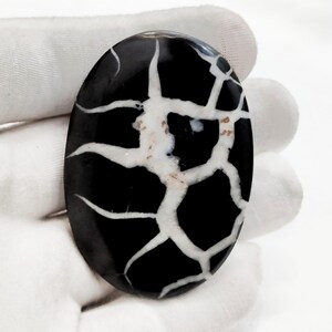 May include: An oval-shaped polished gemstone featuring a deep black base color with a prominent network of white, vein-like patterns spreading across the surface. The stone has a smooth, reflective finish and a distinct, high-contrast appearance.