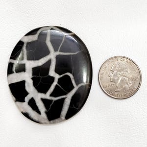 May include: A round, polished black stone cabochon featuring a network of white, vein-like cracks across its surface. The stone is positioned next to a United States quarter coin for scale, which measures approximately 0.955 inches in diameter.
