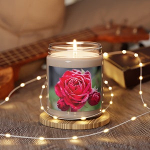 Scented Soy Candle, 9oz