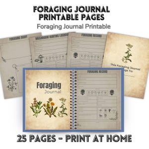 Könnte beinhalten: Druckbare Seiten eines Sammeljournals mit botanischen Illustrationen. Das Journal enthält ein Cover, Seiten für Sammelaufzeichnungen, ein Pilzsuch-Logbuch und ein Sammeltagebuch. Der Text "Foraging Journal Printable Pages" ist zu sehen. Das Journal hat 25 Seiten.