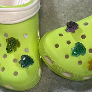 Glow In The Dark Frog Colorful Shoe Charm
