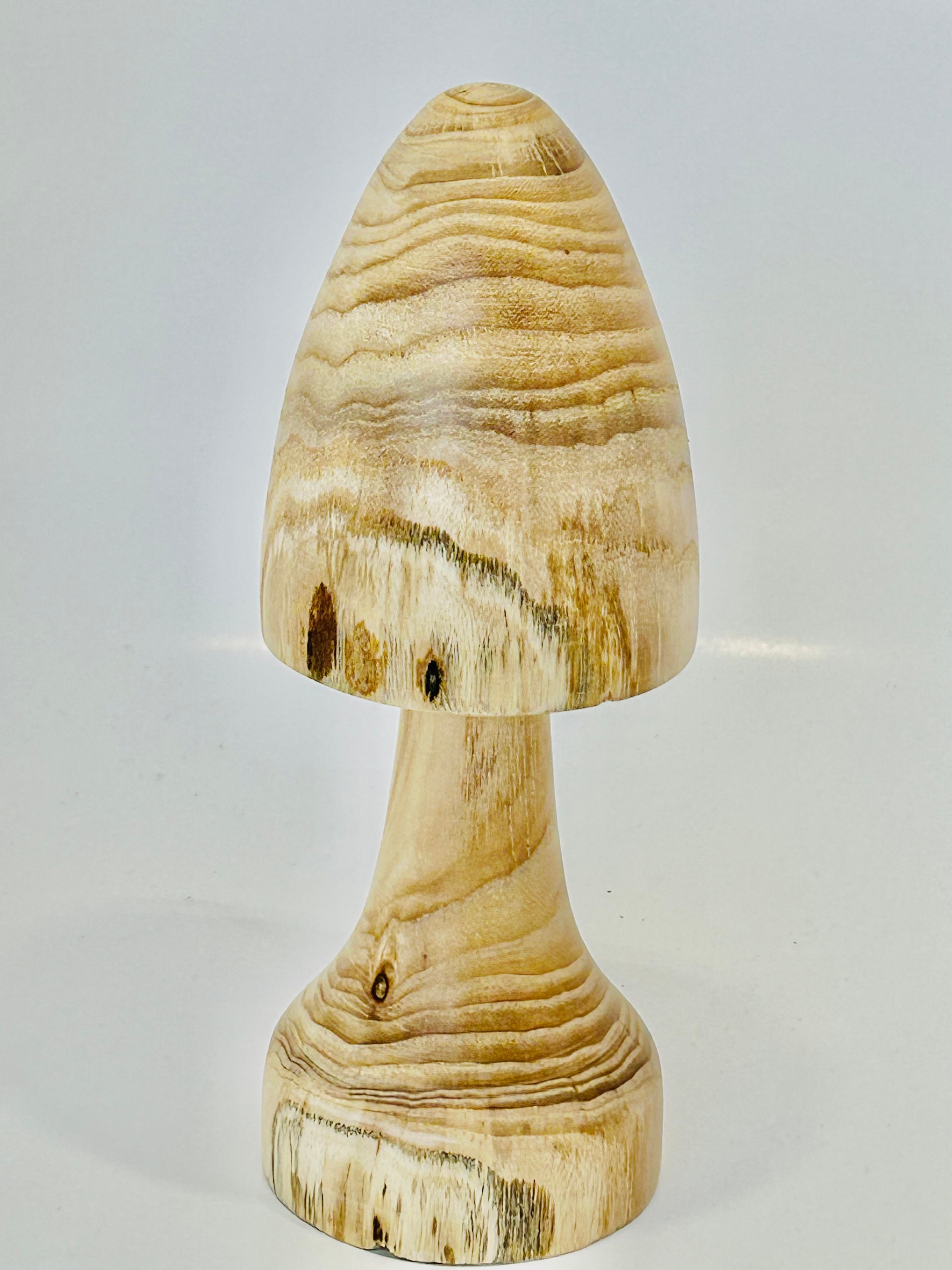 Painted Wooden Mushrooms - Teal - Three Yellow Starfish