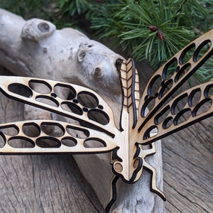 Whispering Wings: Laser-Cut Dragonfly Tranquility