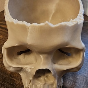 3D printed realistic Fake skull candy bowl/flower bowl seasonal decor