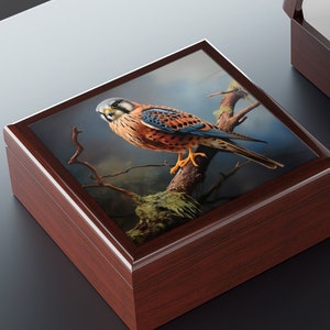 Kestrel Art Print Gift and Jewelry Box