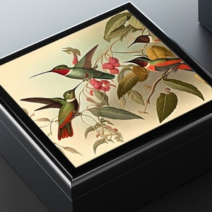 Ruby Throated Hummingbird Vintage Art Print on Parchment Porcelain Tile, Gift and Jewelry Box. Keep your mementos organized.