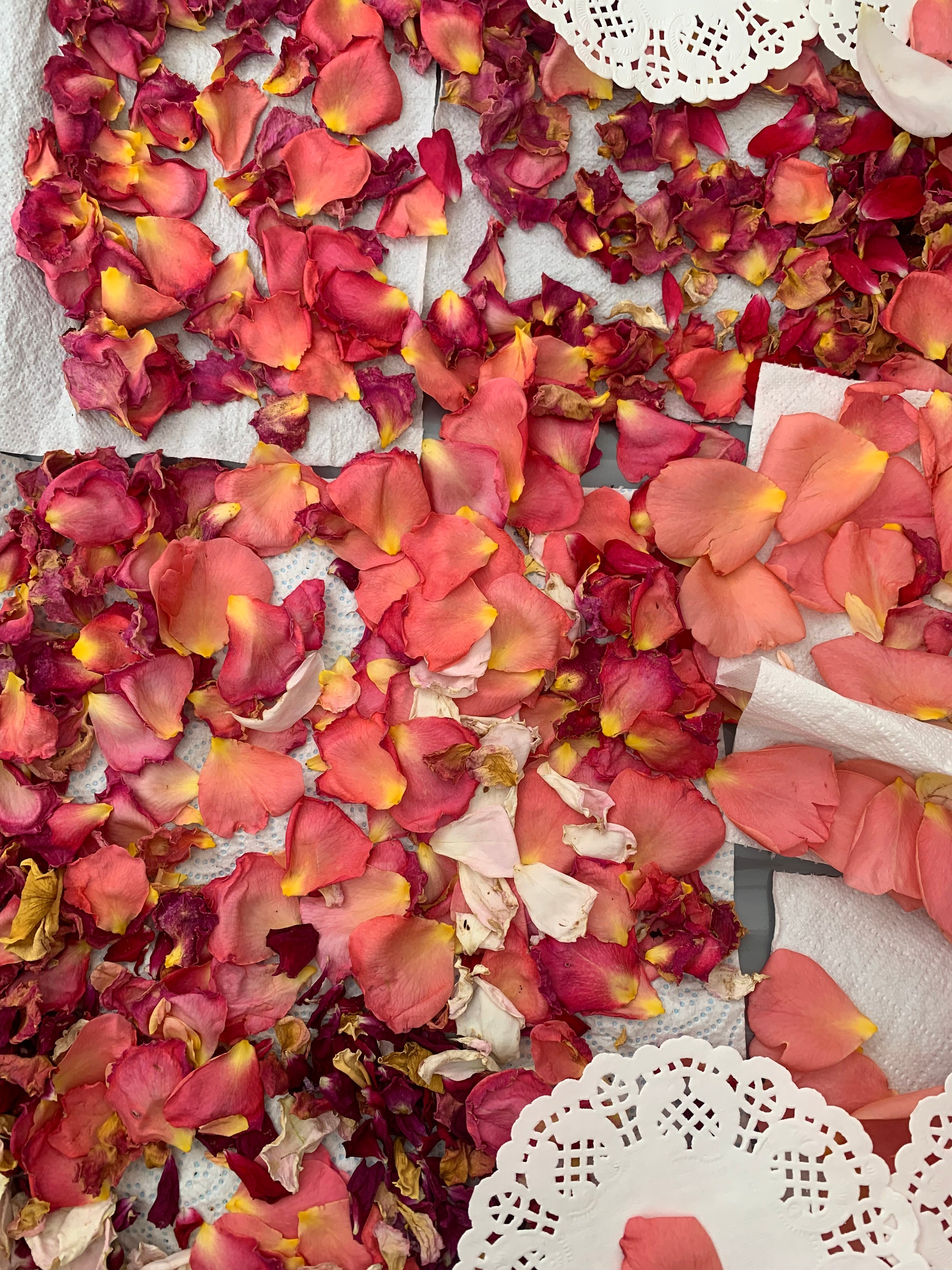 Freeze Dried Rose Petals, Love Blend, REAL rose petals