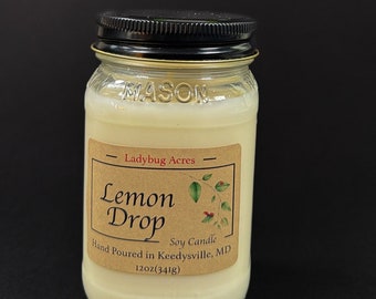 Lemon Drop / Soy Candle / 12 oz  Soy Candle / Hand Poured / Mason Jar / Calming/ Fresh / Quality Candles/ tiktok candle