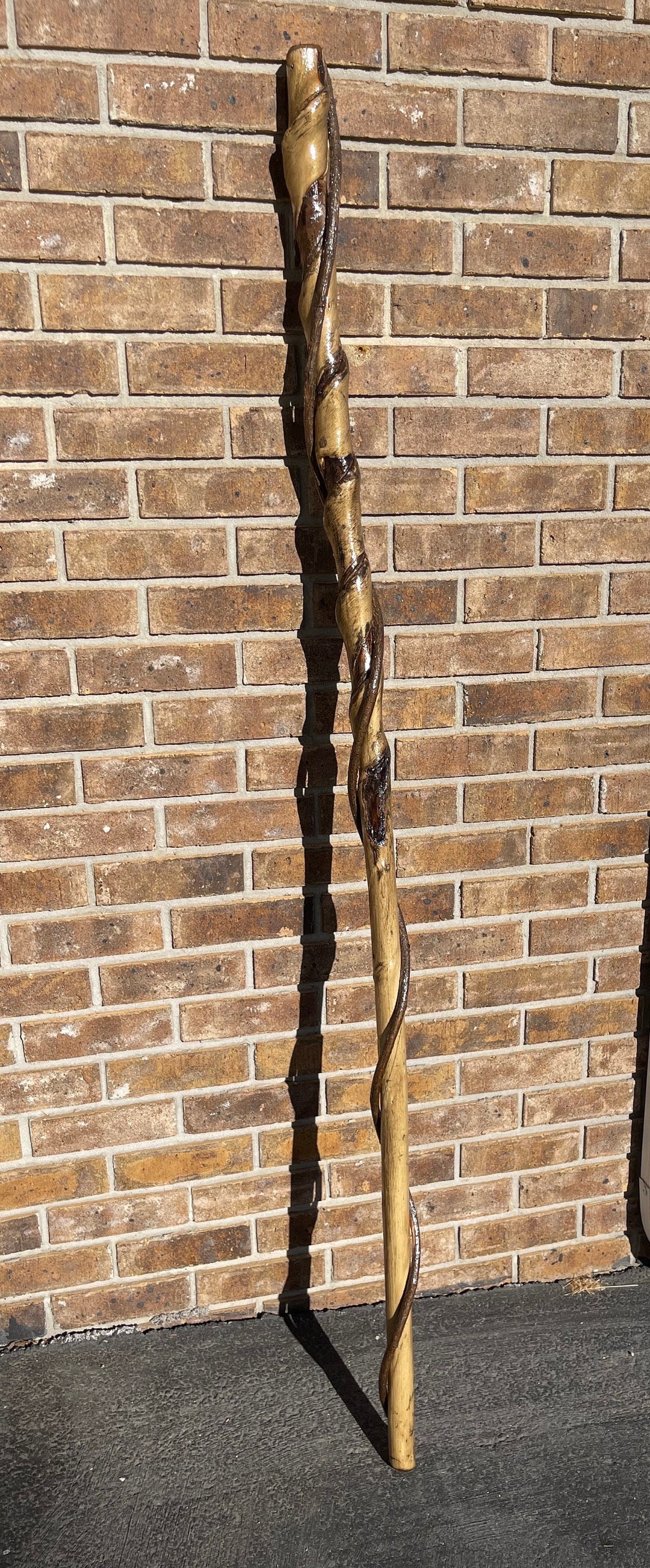 Sumac Tree Walking Stick Walking Stick Etsy