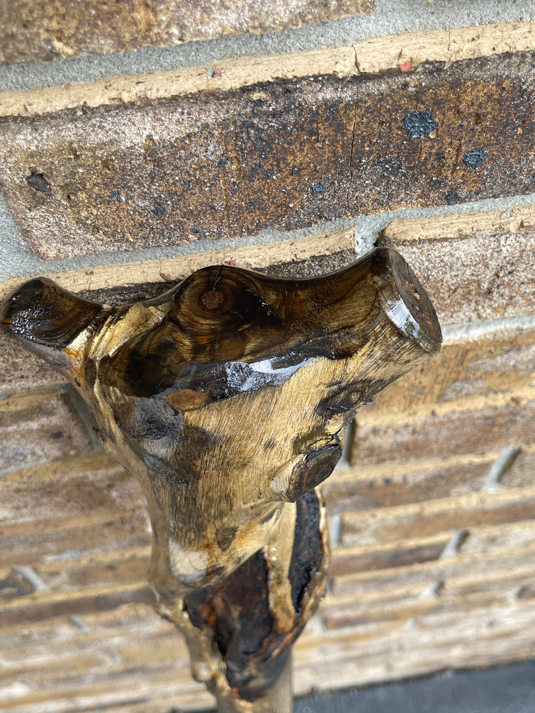 Walking Stick Sumac Tree Walking Stick Etsy