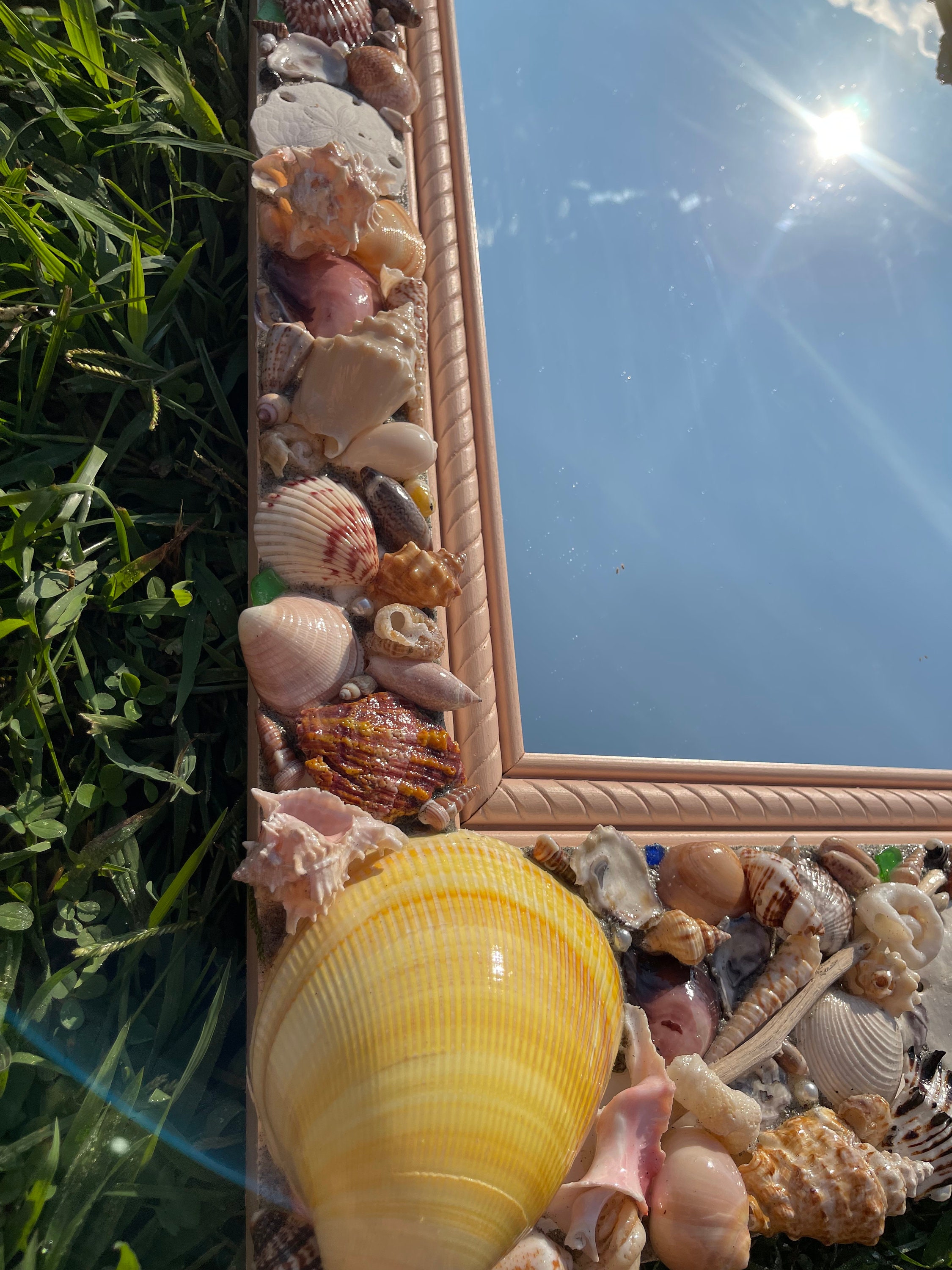 Shell Mirror Kit Seashell Mirror Shell Mirrors - Etsy