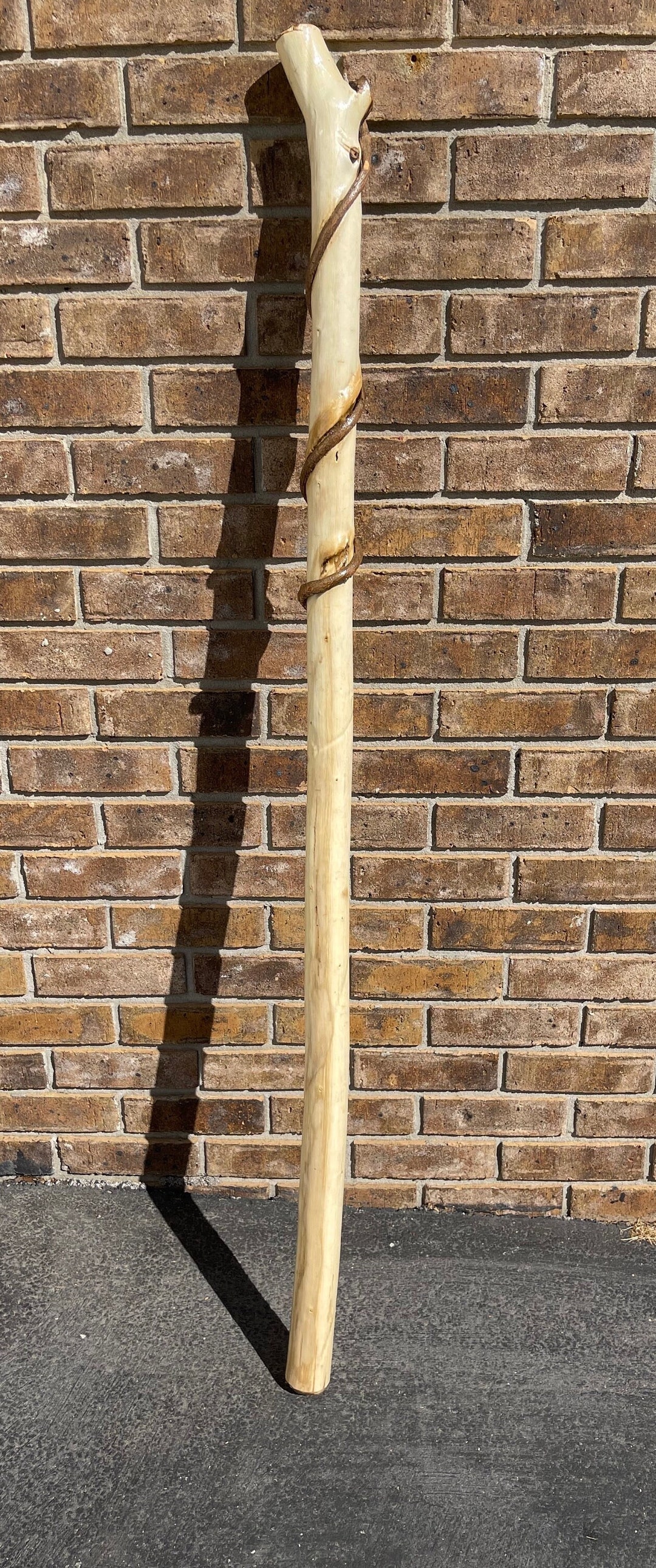 Sumac Tree Walking Stick Walking Stick Etsy