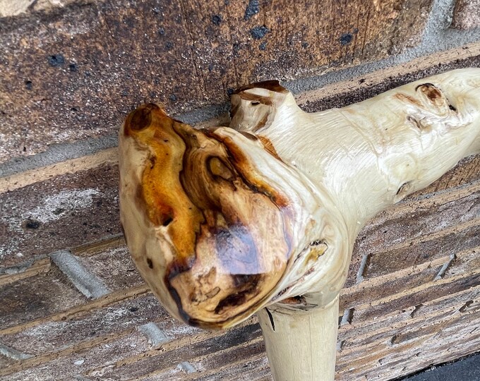 Sumac Tree Walking Stick Walking Cane Handmade Etsy