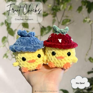Fruit Chicks Crochet 2-in-1 Pattern PDF - Amigurumi Pattern, Animals, Chunky Yarn, Doll, Toys, Plush, birds, hat, crochet chicken