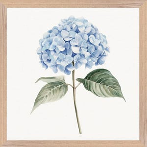 Watercolour Style Single Stem Light Blue Hydrangea, Minimalist Botanical Wall Decor, FSC Framed Poster Print, Interior Art Piece, Gift Ideas