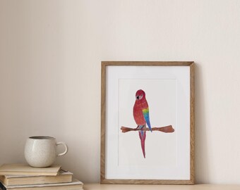 Peut inclure: Une illustration encadrée d'un perroquet rouge avec des plumes bleues et vertes perché sur une branche. Le perroquet est de face et a un fond blanc.