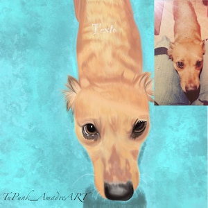 Retratos de mascotas personalizados.