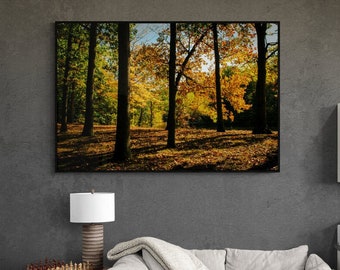 SCENIC ARCHIVAL Fine Art Print for Nature Lovers – Fall Or Autumn Tree PHOTOGRAPHY - Dramatic Nature Photography art prints