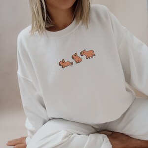 Niedliches Capybara Sweatshirt für Capybara Liebhaber, Geschenke für Sie