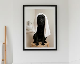 Peut inclure: Photographie encadrée d'un Labrador noir assis sur un petit tabouret en bois, une serviette blanche sur la tête. L'arrière-plan montre une salle de bain avec un lavabo.
