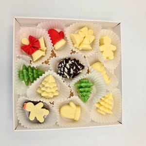 Christmas Chocolate Gift Box – Handmade Assorted Festive Chocolates with Bee Products