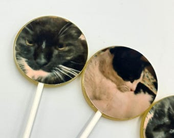 Custom Pet Photo Lollipops: Edible Animal Face Party Favors