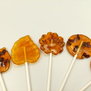 Lollipop with Bee Products/Pollen/Bee Bread/Sweets Gift for a Party/Spring Wedding/Fall Wedding/Mint Lollipops