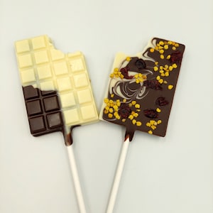 花粉、蜂のパン、クランベリーを添えた極上のベルギーチョコレートスティック：栄養たっぷりのグルメなご馳走