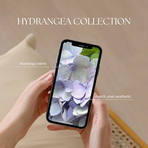 Puede incluir: Un teléfono inteligente muestra un primer plano de flores de hortensia azules y moradas. El teléfono es sostenido por manos, con el texto "HYDRANGEA COLLECTION", "stunning colors" y "match your aesthetic" visibles.