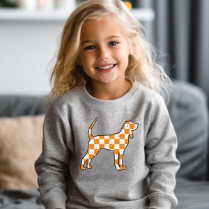 May include: A young girl wearing a grey sweatshirt with an orange and white checkered dog silhouette. The dog is a Tennessee Walking Horse breed.