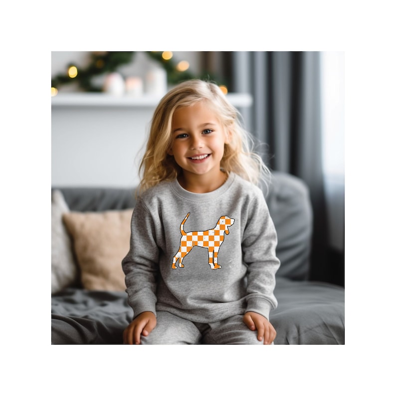 May include: A young girl wearing a grey sweatshirt with an orange and white checkered dog silhouette. The dog is a Tennessee Walking Horse breed.