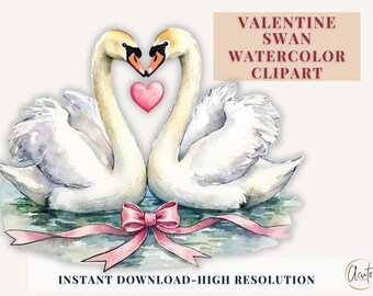 Valentine White Swan Watercolor Clipart Set Romantic Swan Bow Floral PNG