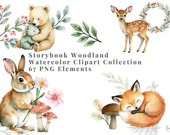 Storybook Woodland Watercolor Clipart Woodland Animals & Botanical PNG