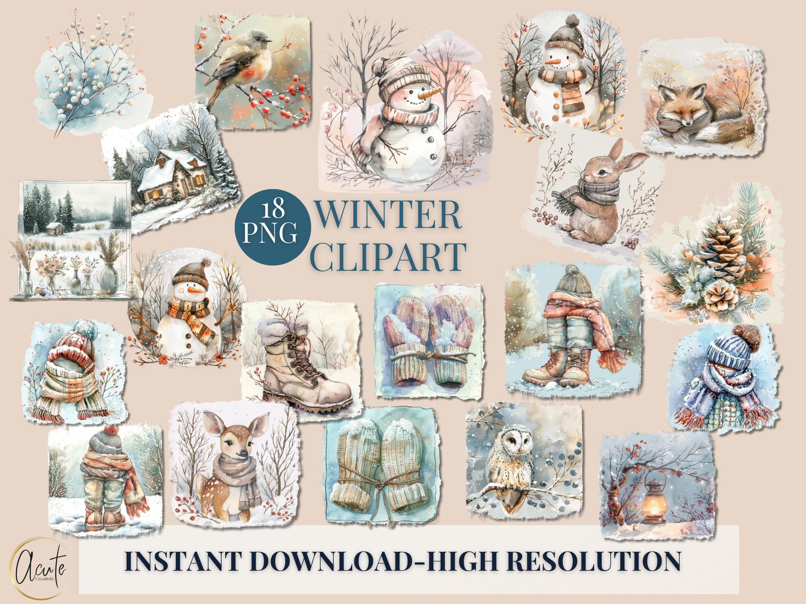Winter Wonderland Snowy Owl Clipart PNG Snowman Sublimation Design Digital Download