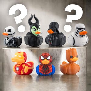 Character Inspired Ducky B-Stock Blind Box: 3D Printed Plastic Duckies