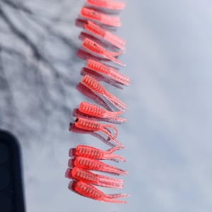 STS .75 Ice Twin Tickler Soft Plastic Ice Fishing Bait -- Cherry Bomb