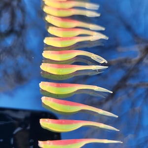 May include: A close-up of a group of yellow, green, and pink fishing lures. The lures are arranged in a vertical line, with the tails of the lures pointing upwards.